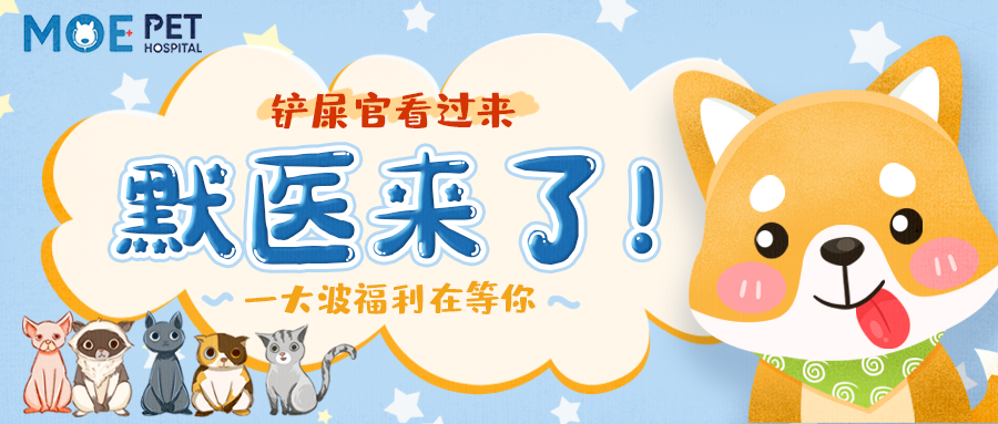 铲屎官看过来!-默医来了，一大波福利在等你!