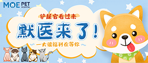铲屎官看过来!-默医来了，一大波福利在等你!