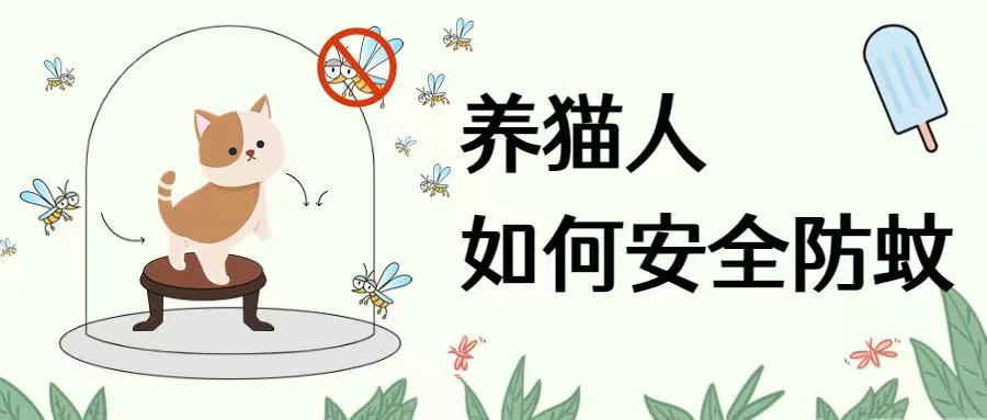 蚊子请远离我的猫！！！