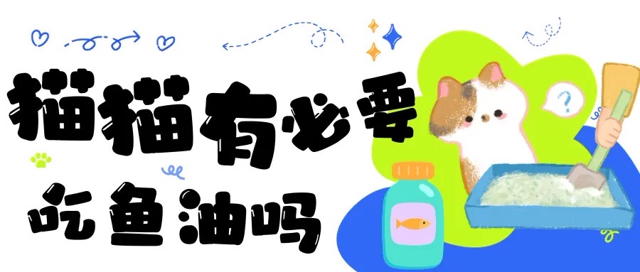 毛发居然是喂出来的？鱼油真有这么神奇？