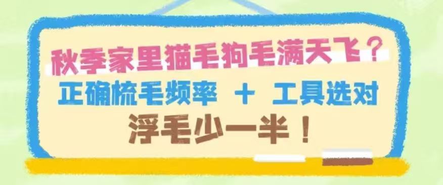 秋季家里猫毛狗毛满天飞？正确梳毛频率 + 工具选对，浮毛少一半！
