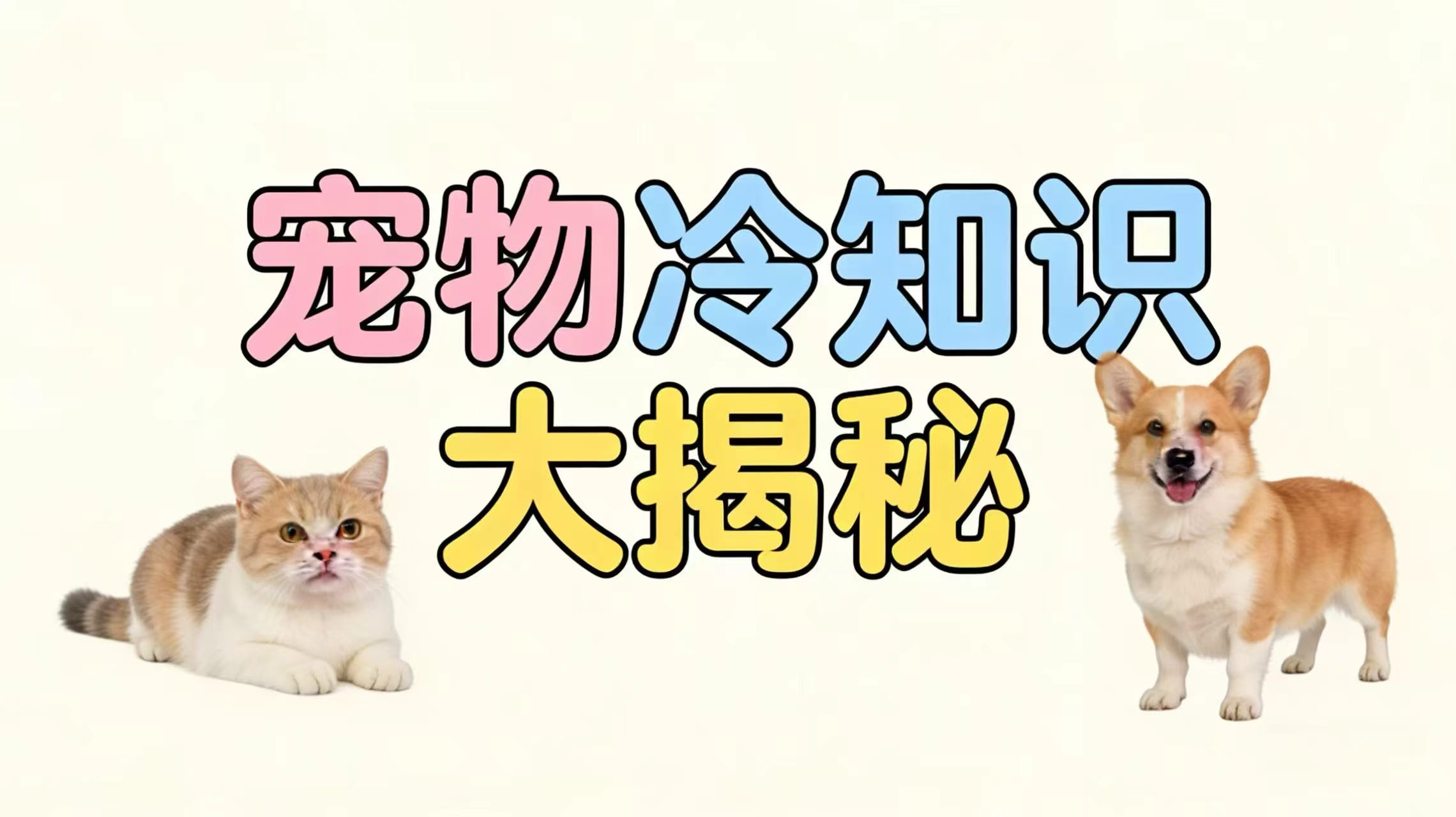 宠物冷知识大揭秘!