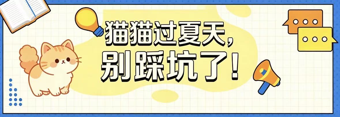 猫猫过夏天,别踩坑了!