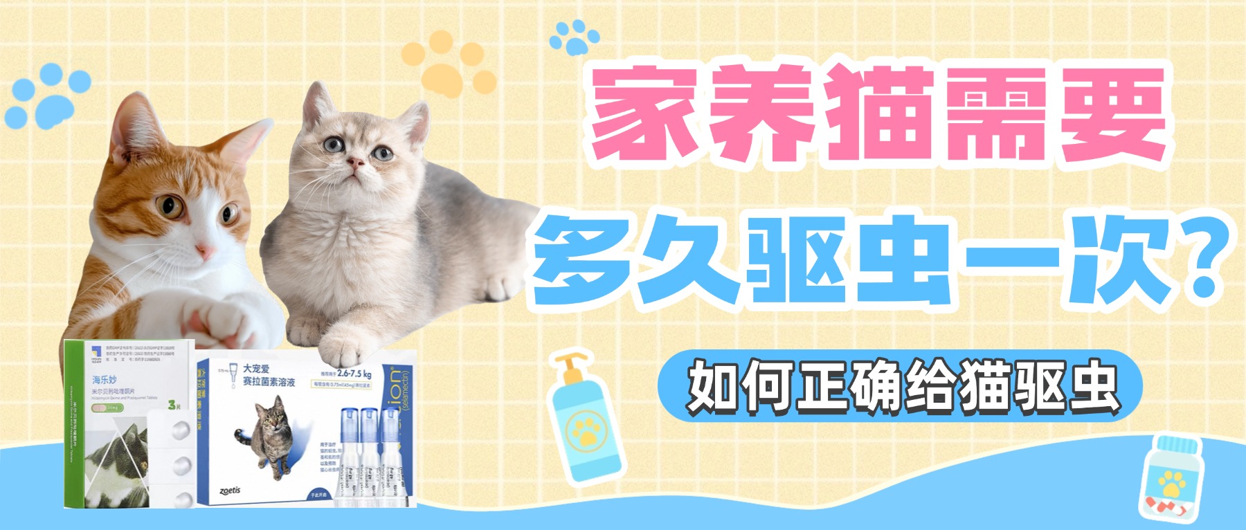 家养猫需要多久驱虫一次?