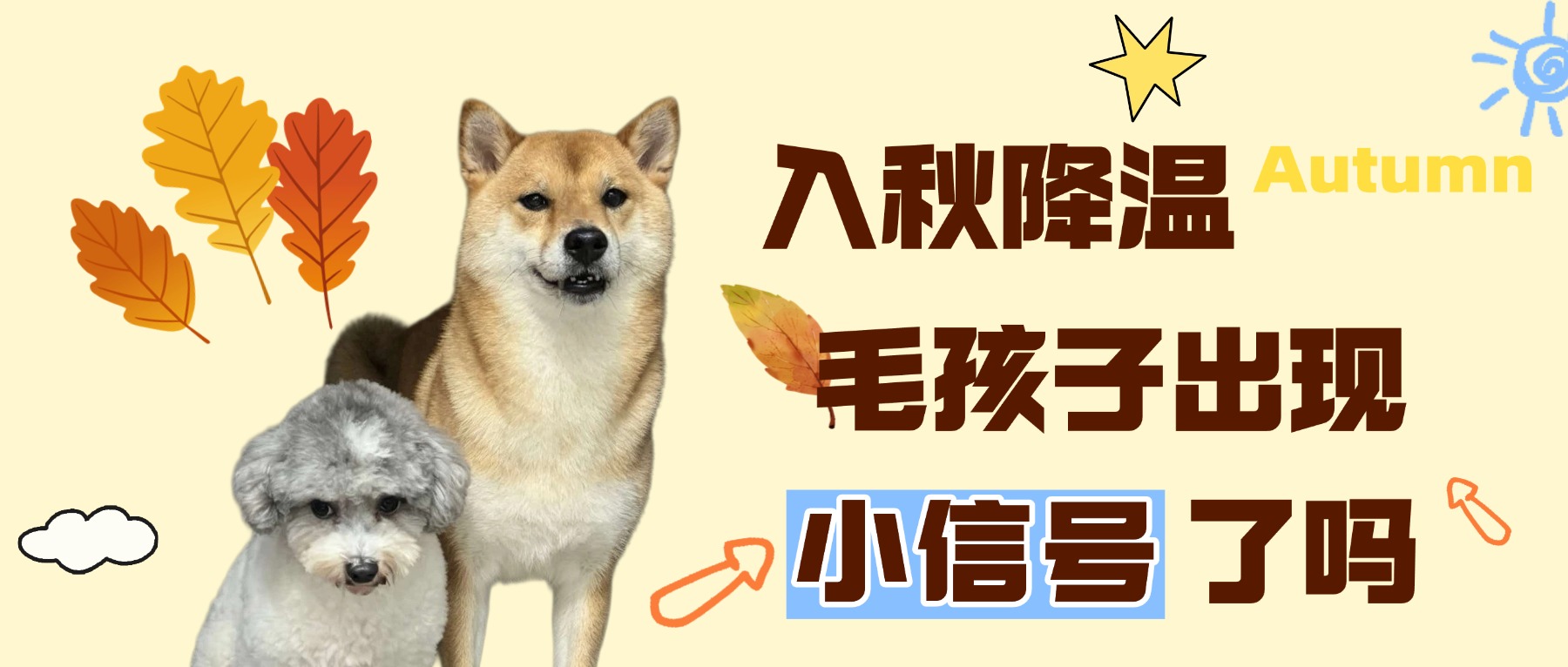 入秋降温毛孩子出现小信号了吗?