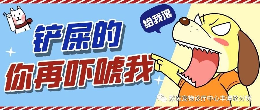 急！！！狗狗竟被我吓出了病