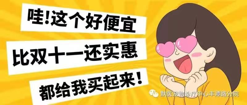 实惠宠物用品平替 ！李佳琦看完都要改行......